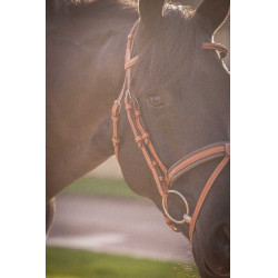 Bridon Pénélope Elégance Cognac Marron