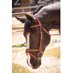 Bridon Pénélope Elegantie Cognac Bruin