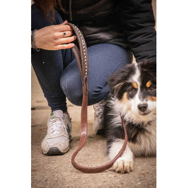 Laisse chien Pénélope Rubber Havane Marron