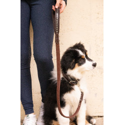 Laat hond Penelope Rubber Havana Bruin