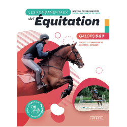 De basisprincipes Galops 5 tot 7