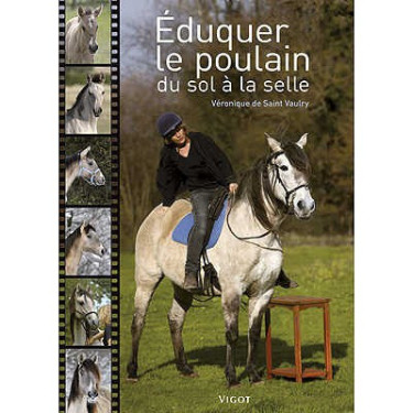 Éduquer le poulain du sol à la selle