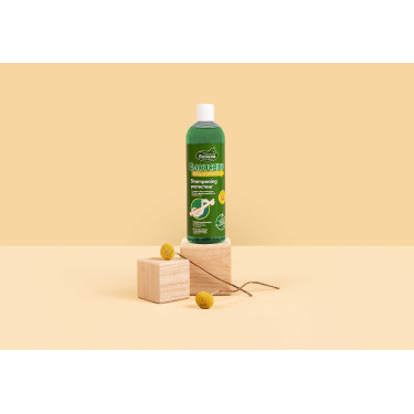 Shampoo Ravene Emouchine Protec Shampoo Ravene Emouchine Protec