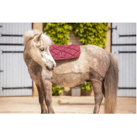 Tapis Paddock Sports Prems Prune Violet