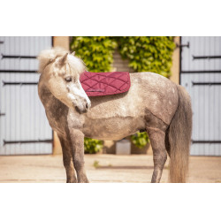 Tapis Paddock Sports Prems Prune Violet