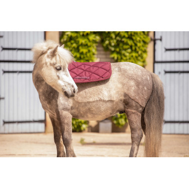 Tapis Paddock Sports Prems Prune Violet