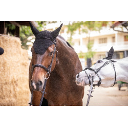 Bonnet Paddock Sports Pro Coton Noir Bonnet Paddock Sports Pro Coton Noir