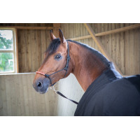 Chemise Paddock Sports Light Mesh Noir