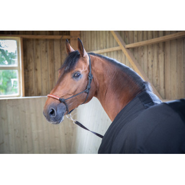 Paddock Sports Light Mesh Shirt Zwart