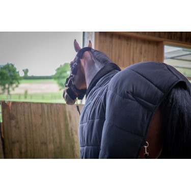 Sous-couverture Paddock Sports Underblancket Noir