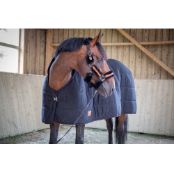 Onderdeken Paddock Sports Underblancket Zwart
