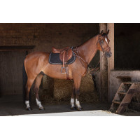 Collier de chasse Eric Thomas Hybrid Havane Marron Collier de chasse Eric Thomas Hybrid Havane Marron