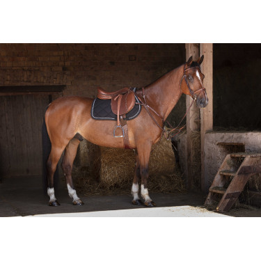 Collier de chasse Eric Thomas Hybrid Havane Marron Collier de chasse Eric Thomas Hybrid Havane Marron