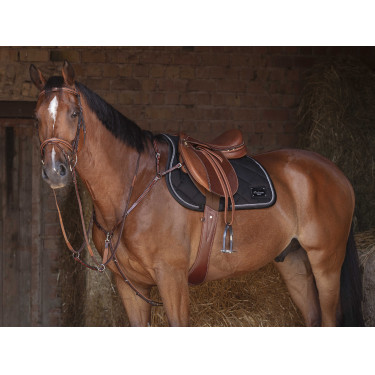 Collier de chasse Eric Thomas Hybrid Havane Marron Collier de chasse Eric Thomas Hybrid Havane Marron