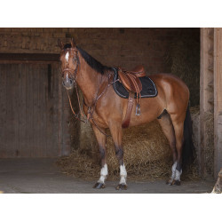 Collier de chasse Eric Thomas Hybrid Havane Marron Collier de chasse Eric Thomas Hybrid Havane Marron