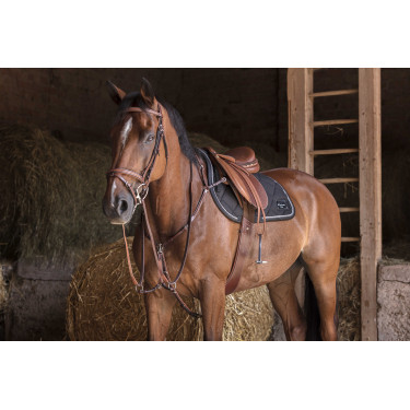 Collier de chasse Eric Thomas Hybrid Havane Marron Collier de chasse Eric Thomas Hybrid Havane Marron