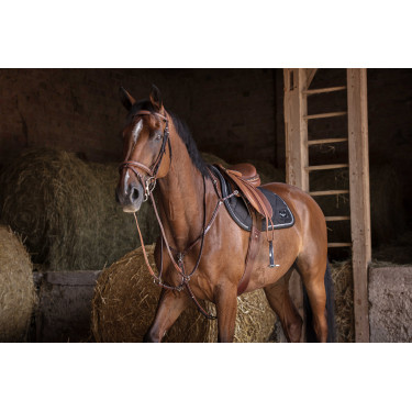 Collier de chasse Eric Thomas Hybrid Havane Marron Collier de chasse Eric Thomas Hybrid Havane Marron