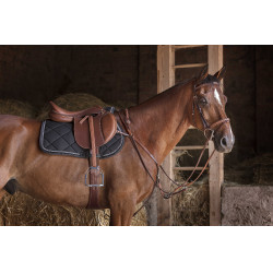 Collier de chasse Eric Thomas Hybrid Havane Marron Collier de chasse Eric Thomas Hybrid Havane Marron