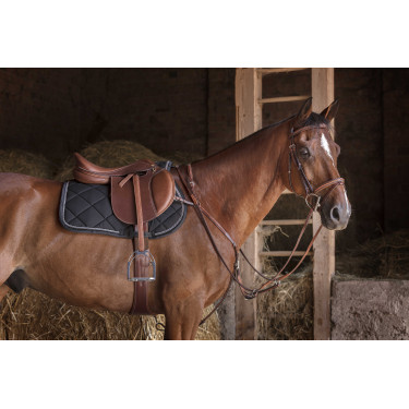 Collier de chasse Eric Thomas Hybrid Havane Marron Collier de chasse Eric Thomas Hybrid Havane Marron