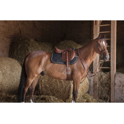 Collier de chasse Eric Thomas Hybrid Havane Marron Collier de chasse Eric Thomas Hybrid Havane Marron