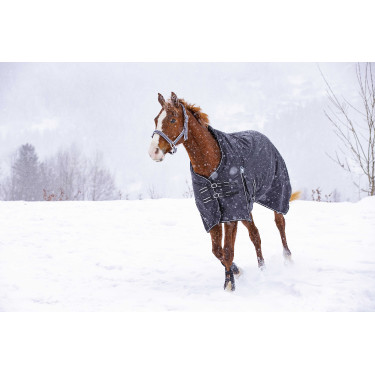 Waterdichte Oxford-deken Riding World Zwart