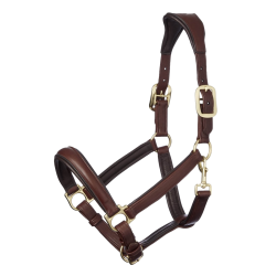 Halster LeMieux Anatomic Halster LeMieux Anatomic