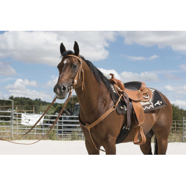 Selle Westride door Franck Perret Aurora Hazelnoot Bruin