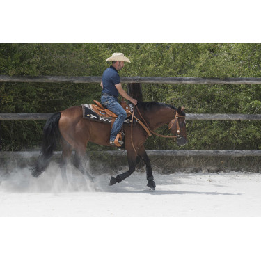 Selle Westride door Franck Perret Aurora Hazelnoot Bruin