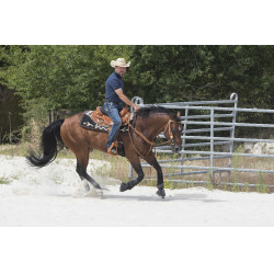 Selle Westride door Franck Perret Aurora Hazelnoot Bruin