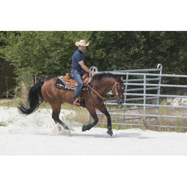 Selle Westride door Franck Perret Aurora Hazelnoot Bruin