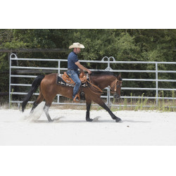 Selle Westride door Franck Perret Aurora Hazelnoot Bruin