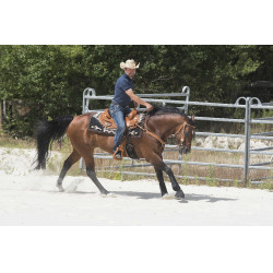 Selle Westride by Franck Perret Aurora Noisette Marron Selle Westride by Franck Perret Aurora Noisette Marron