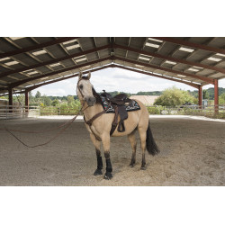 Selle Westride by Franck Perret Arvada Chocolat Marron