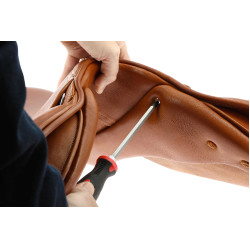 Arcade d’arçon interchangeable selle Evolution Grand Prix Eric Thomas