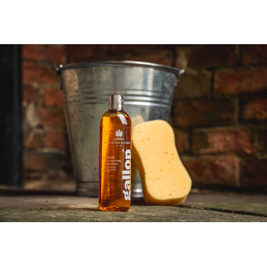 Gallop® Shampoo Carr & Day & Martin Hazelnoot en palomino Gallop® Shampoo Carr & Day & Martin Hazelnoot en palomino