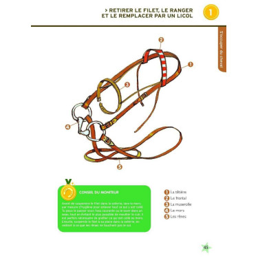 Galops 1 en 2 Nieuwe editie