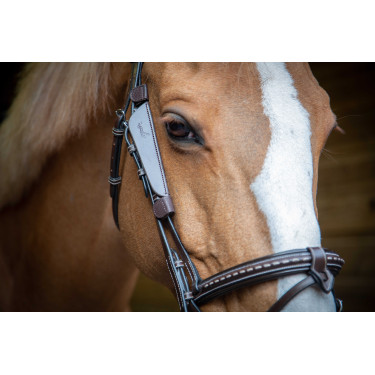 Australische oogkleppen Pénélope Havana Bruin Australische oogkleppen Pénélope Havana Bruin