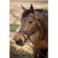 Bridon Pénélope Smoothie Bridon Pénélope Smoothie