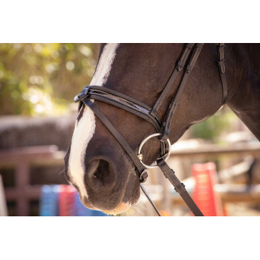 Bridon Pénélope Smoothie Zwart