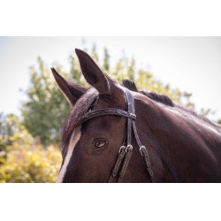 Bridon Pénélope Smoothie Zwart