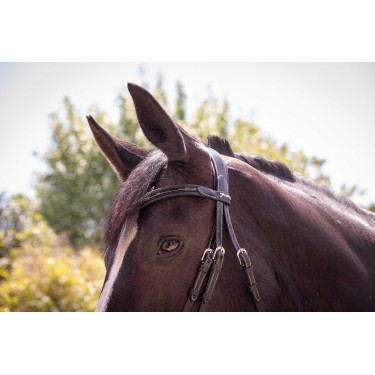 Bridon Pénélope Smoothie Zwart