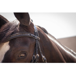 Bridon Pénélope Smoothie Zwart