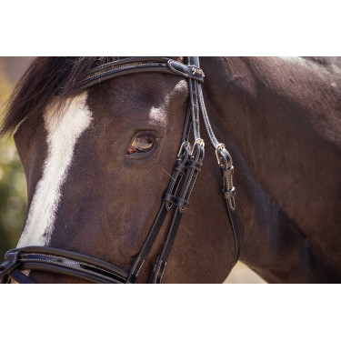 Bridon Pénélope Smoothie Zwart