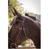 Bridon Pénélope Smoothie Havana Bruin