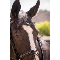 Bridon Pénélope Smoothie Zwart