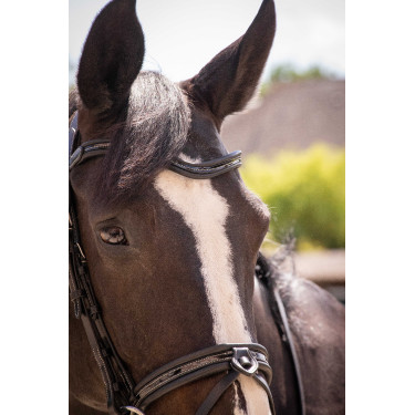 Bridon Pénélope Smoothie Zwart