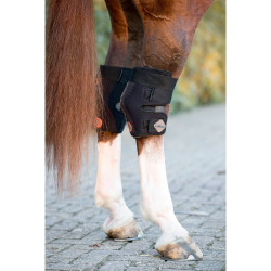 LeMieux Conductive Magno beenbeschermer LeMieux Conductive Magno beenbeschermer