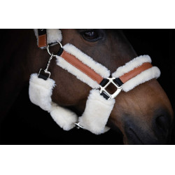 Licol Pénélope Soft Noir / beige