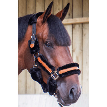 Licol Pénélope Soft Noir Licol Pénélope Soft Noir