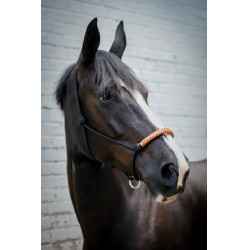 Ethologisch halster Pénélope Amerikaans Zwart